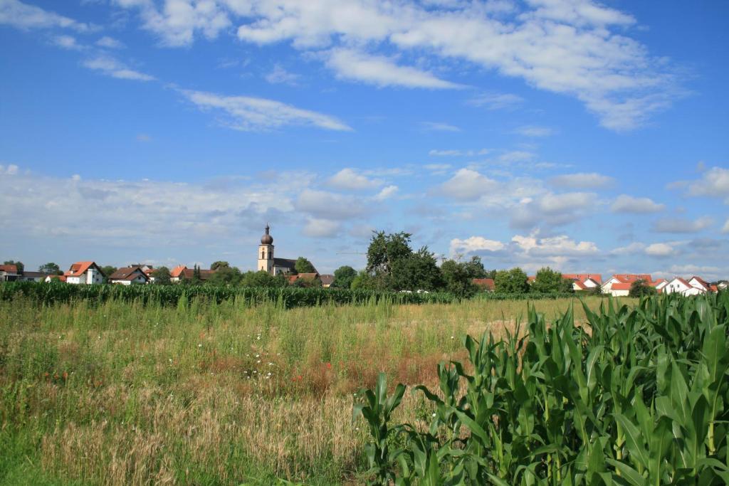 Odas Feriendomizil Kappel-Grafenhausen Exterior foto